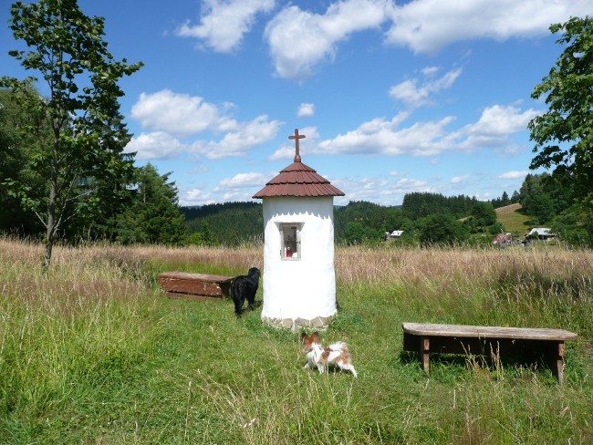 Přes hřebeny Javorníků