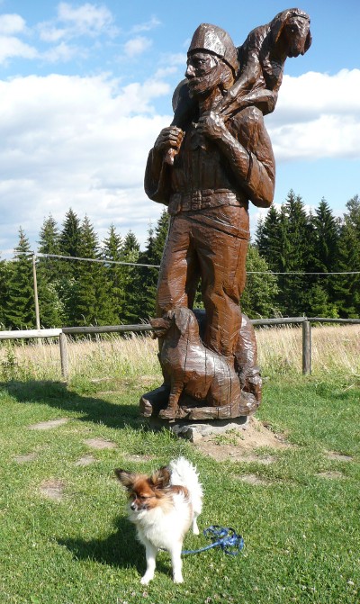 Soláň
