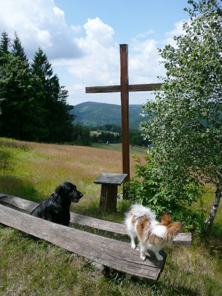 Soláň