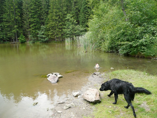 Soláň