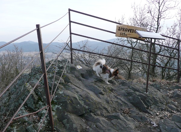 Výlet po okolí Chřibské