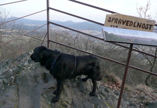 Výlet po okolí Chřibské