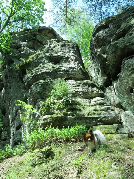 Výlet na Kokořín