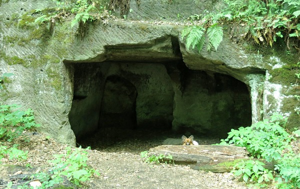 Výlet na Kokořín