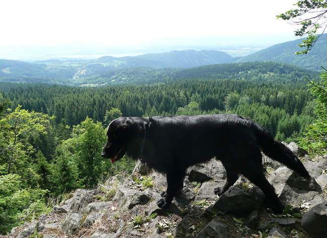 Přes Plešivec a Červenou jámu