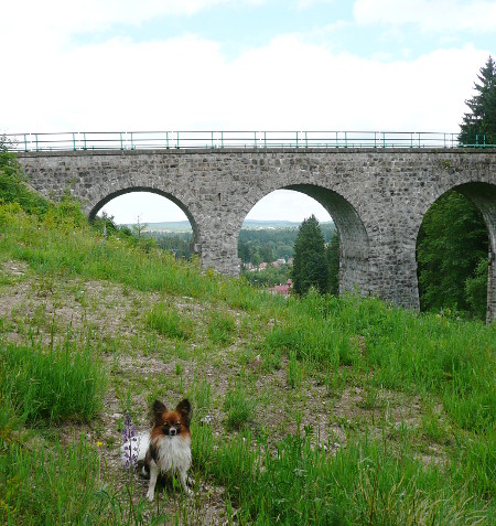 Blatenský vrch