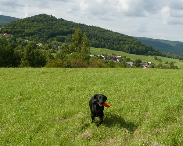 Procházka na Chmelník