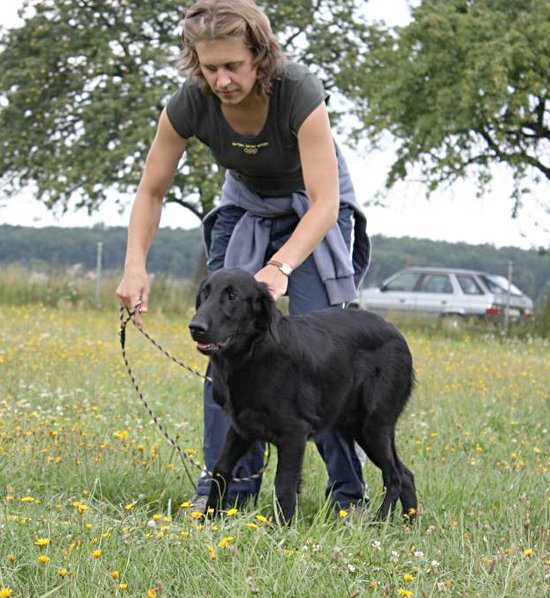 Setkání FCR v Chlumci nad Cidlinou