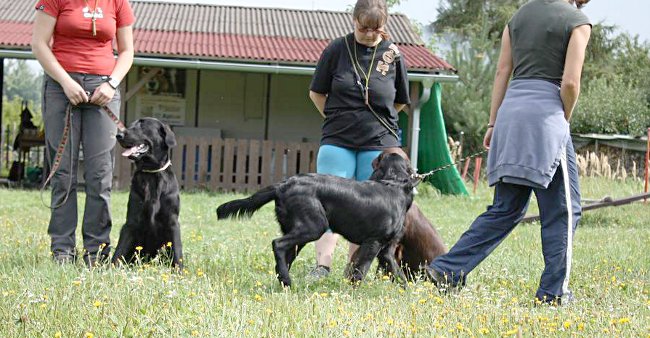 Setkání FCR v Chlumci nad Cidlinou