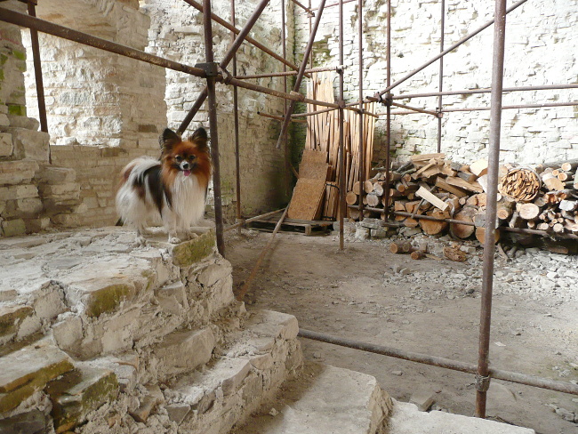 Výlet na hrad Vízmburk