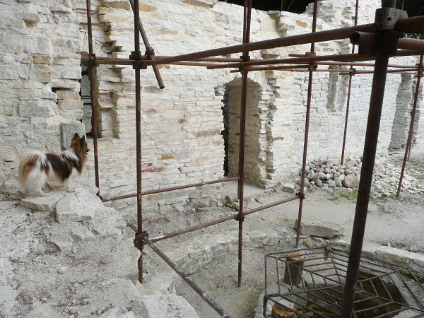 Výlet na hrad Vízmburk