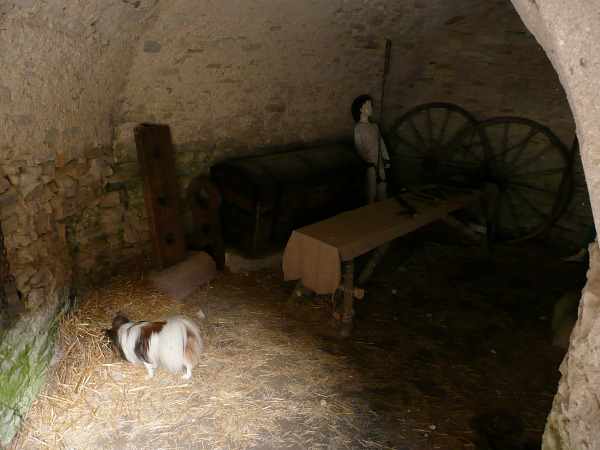 Výlet na hrad Vízmburk