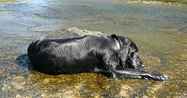 Flatsraz 2012