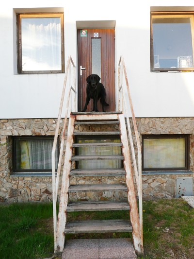 Flatsraz 2012