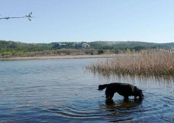 Flatsraz 2012