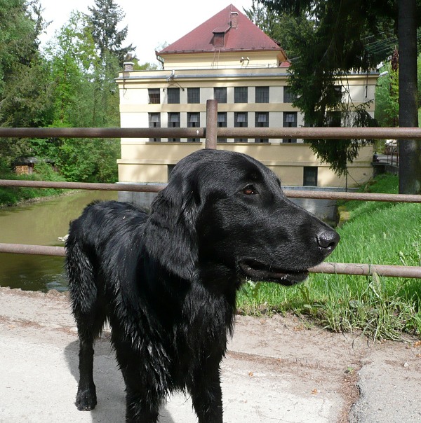 V Humpolci 2012