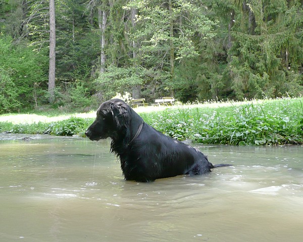 V Humpolci 2012