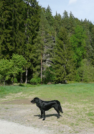 V Humpolci 2012