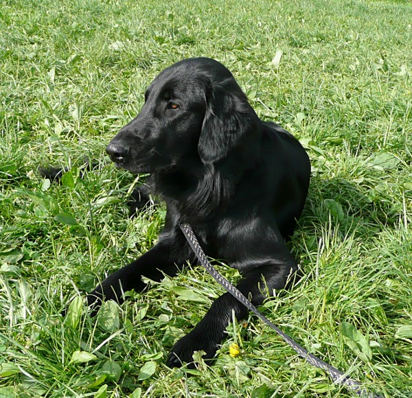 V Humpolci 2012