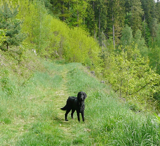 V Humpolci 2012