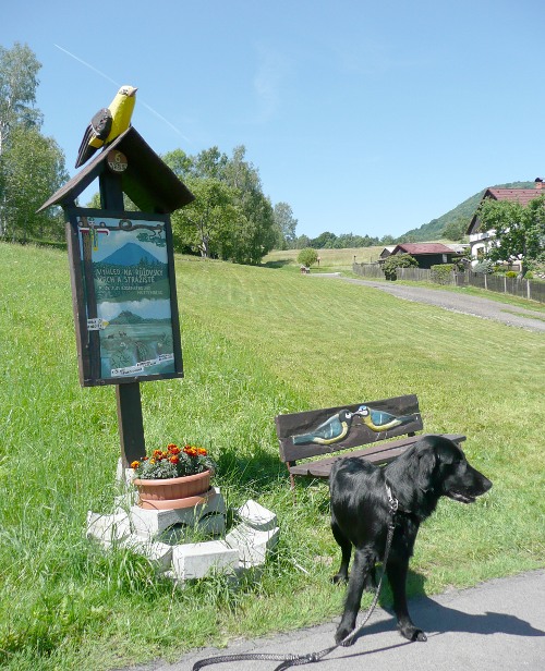 Srbskokamenická výstava psů