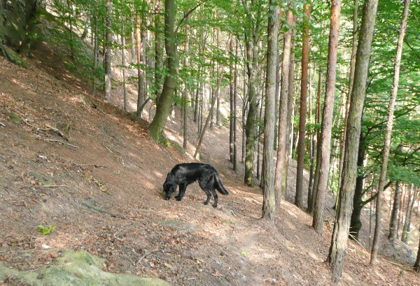 Na výletě Kokořínskem