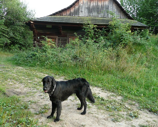 Procházka po Rožnově pod Radhoštěm