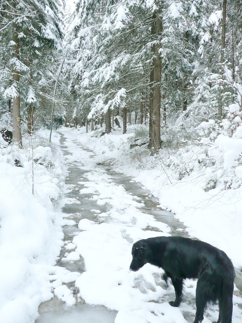 Procházka na Zschirnstein