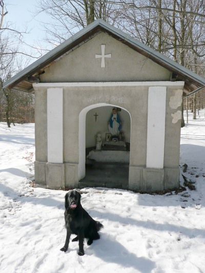 Výlet do Chlumce