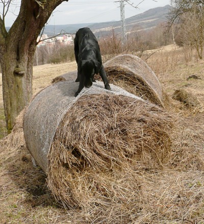 Výlet na Výrovnu