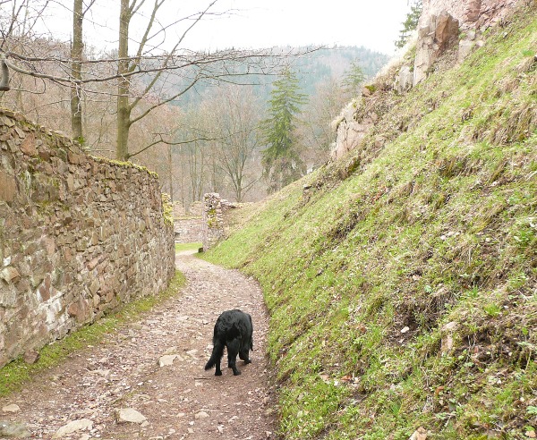 Výlet na hrad Litice