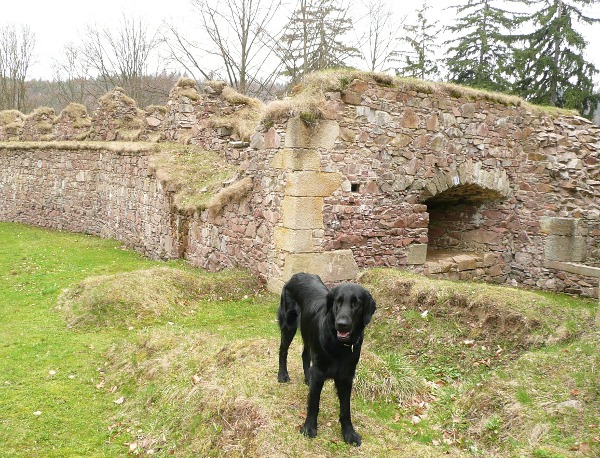 Výlet na hrad Litice