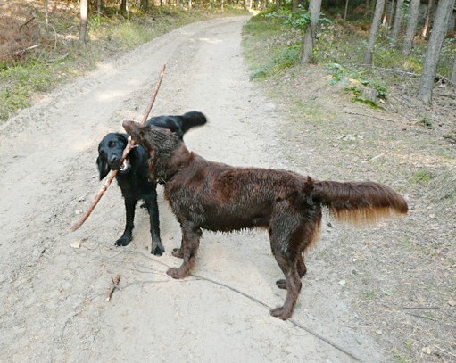 Výlet na Čertovy hlavy