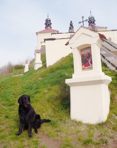 Výlet na Vlhošť