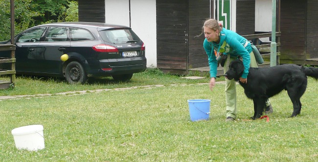 Flatsraz 2014