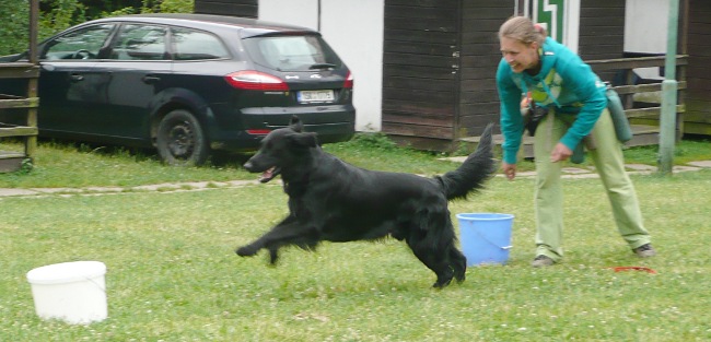 Flatsraz 2014