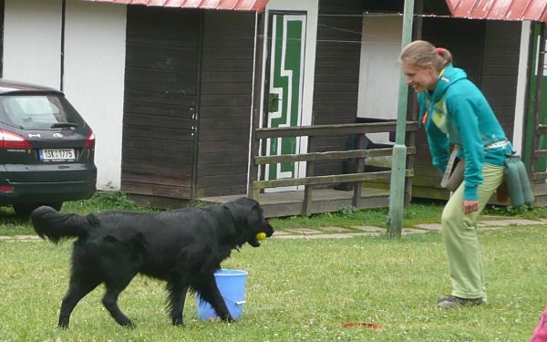 Flatsraz 2014