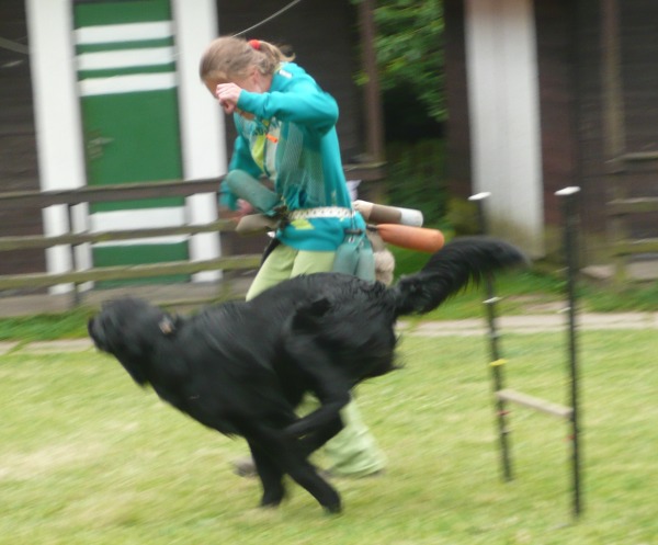 Flatsraz 2014