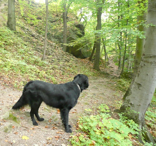 Výlet na Komáří vížku