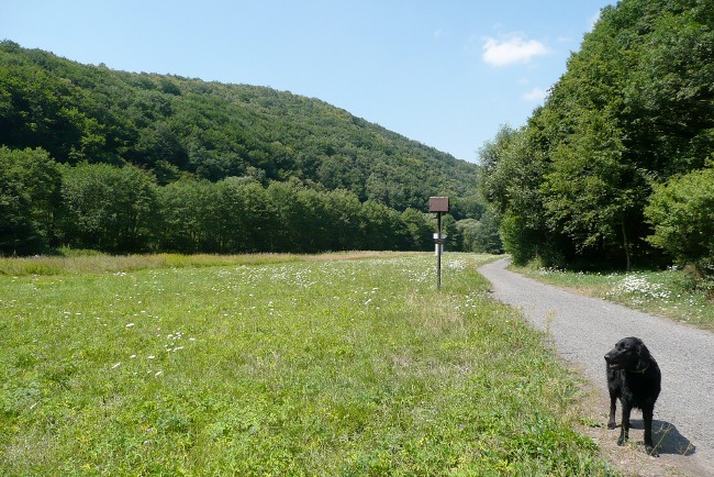 Výlet do Vranova nad Dyji