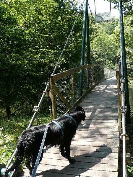 Výlet do Vranova nad Dyji