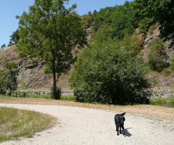 Výlet do Vranova nad Dyji