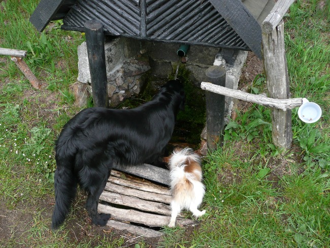 Výlet na Moldavu