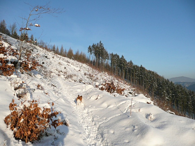 Zimní procházka po Děčínu